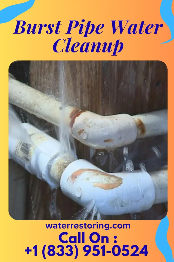Burst Pipe Water Cleanup in West Wyoming, PA