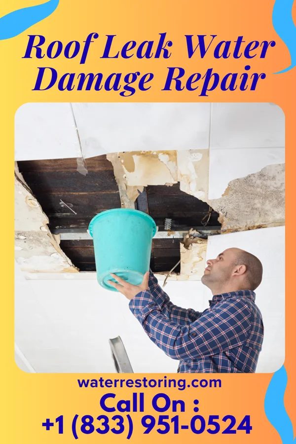Roof Leak Water Damage Repair in West Wyoming, PA