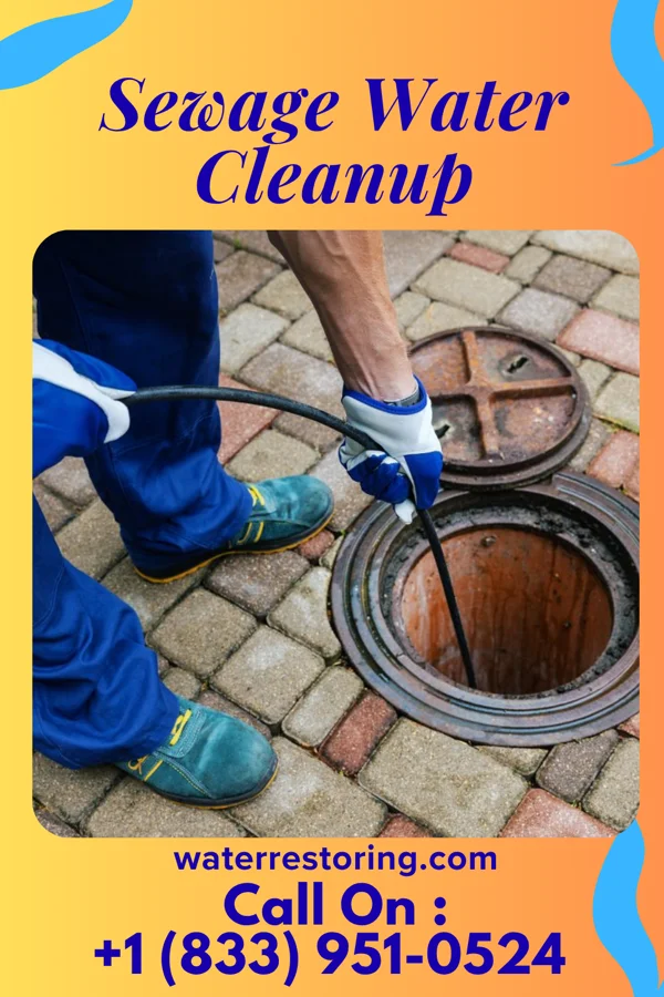 Sewage Water Cleanup in West Wyoming, PA